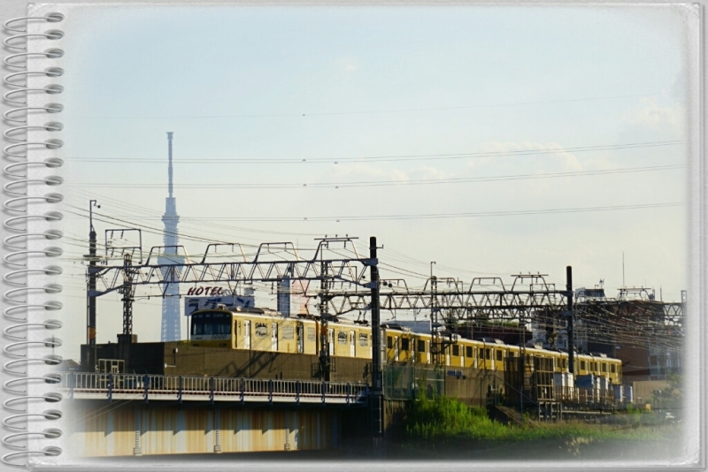 d0341483_20340128.jpg