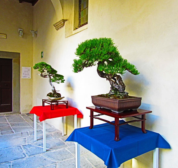 FIRENZE SAKE ---ラッダインキャンティのイベントに参加_c0179785_1911677.jpg