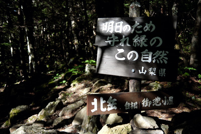 b0339488_17532656.jpg