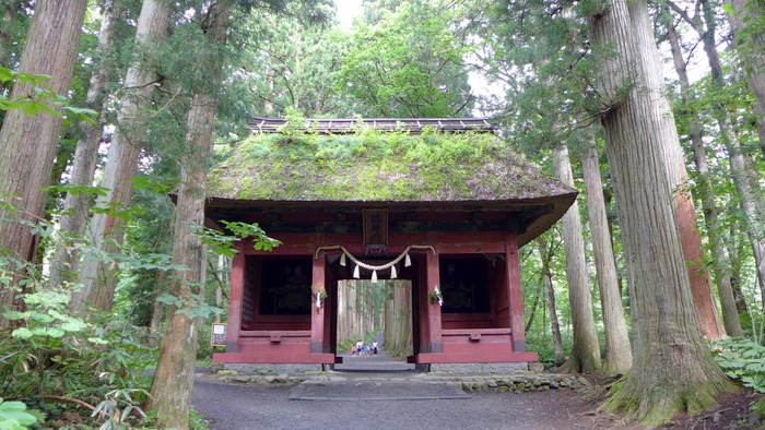 信州の旅@戸隠神社奥社_a0127090_20314474.jpg