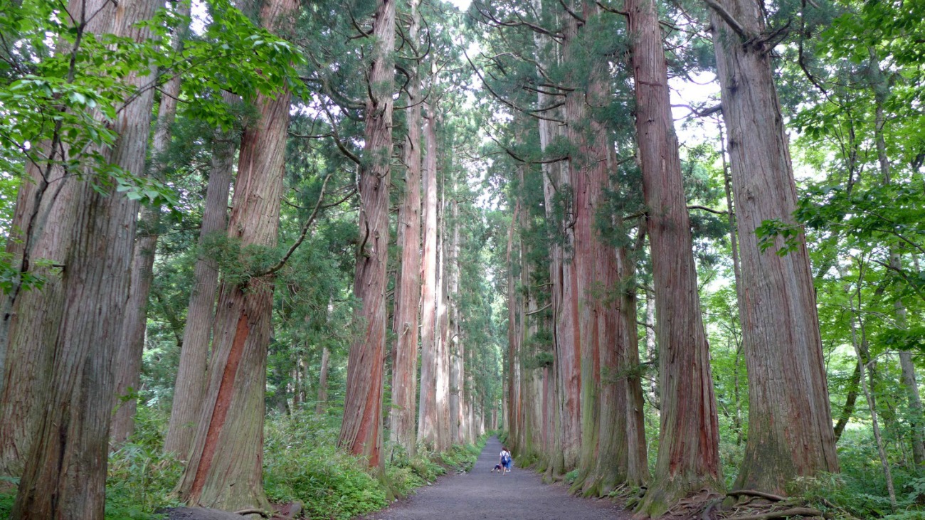 信州の旅@戸隠神社奥社_a0127090_20334334.jpg