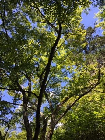 f0314690_15504945.jpeg