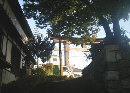 d0053294_11175087.jpg
