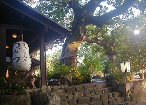 ●近江八幡にて、その2_d0053294_22431644.jpg