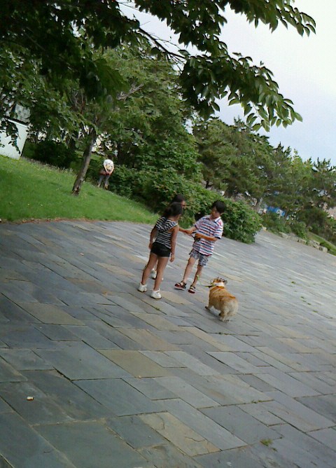 f0200795_1617393.jpg