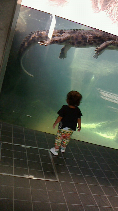 f0200795_16341100.jpg