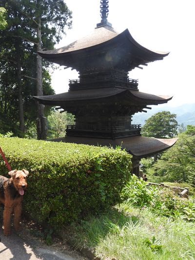 お盆の信州、その３、大法寺〜実家_a0218499_6125679.jpg