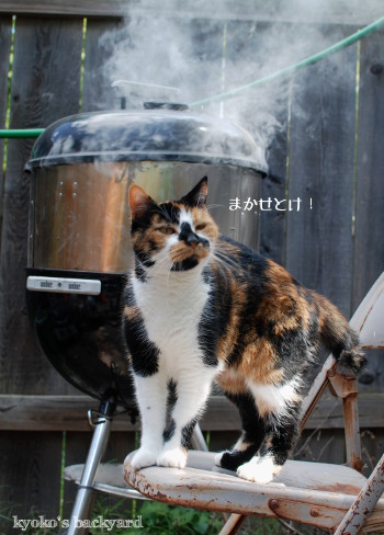BBQグリルを監督_b0253205_04043820.jpg