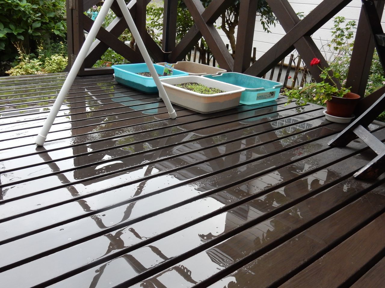 雨でしたが、穏やかな雨でとても50年に一度というようなものではありません_c0025115_22245962.jpg