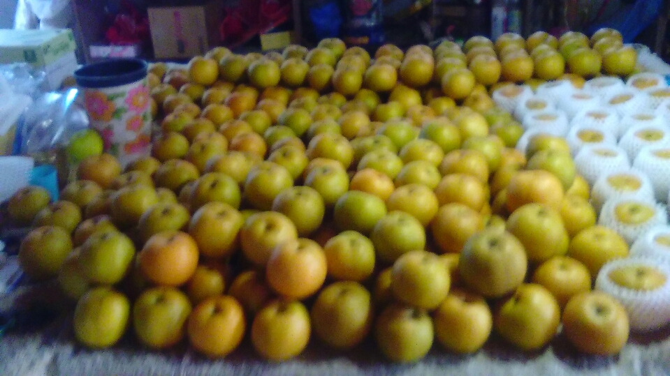 f0142721_2139697.jpg