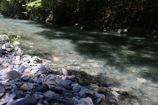 d0227723_07421835.jpg