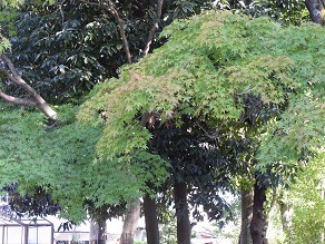 f0361027_12111645.jpg