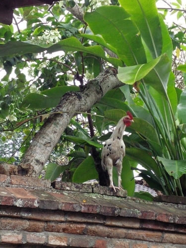 インドネシア旅行　2016　その3_a0024829_16511834.jpg