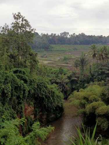 a0024829_16512530.jpg