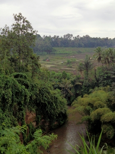 インドネシア旅行　2016　その3_a0024829_16512530.jpg