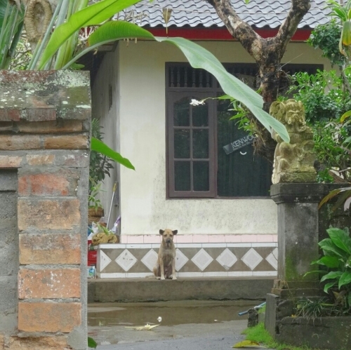 a0024829_16512969.jpg