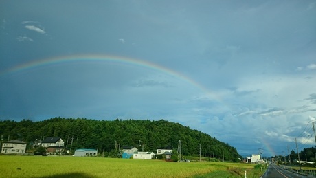 e0200529_2333551.jpg