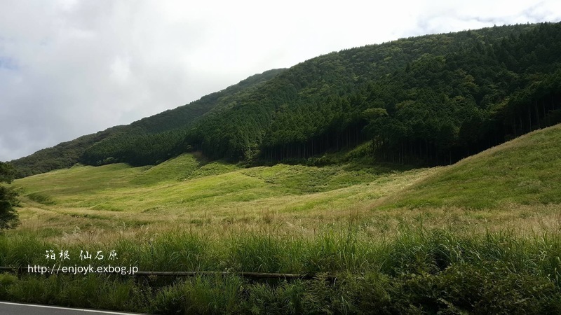 d0269832_13591929.jpeg