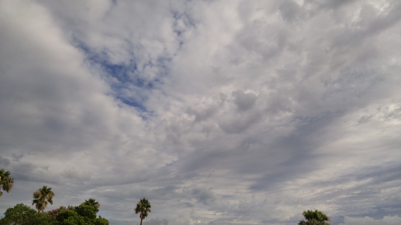 f0361132_18170719.jpg