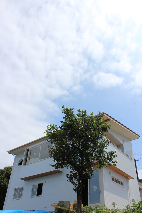 d0158835_1325930.jpg