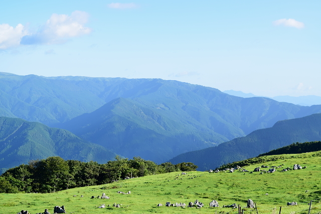c0339546_20305930.jpg