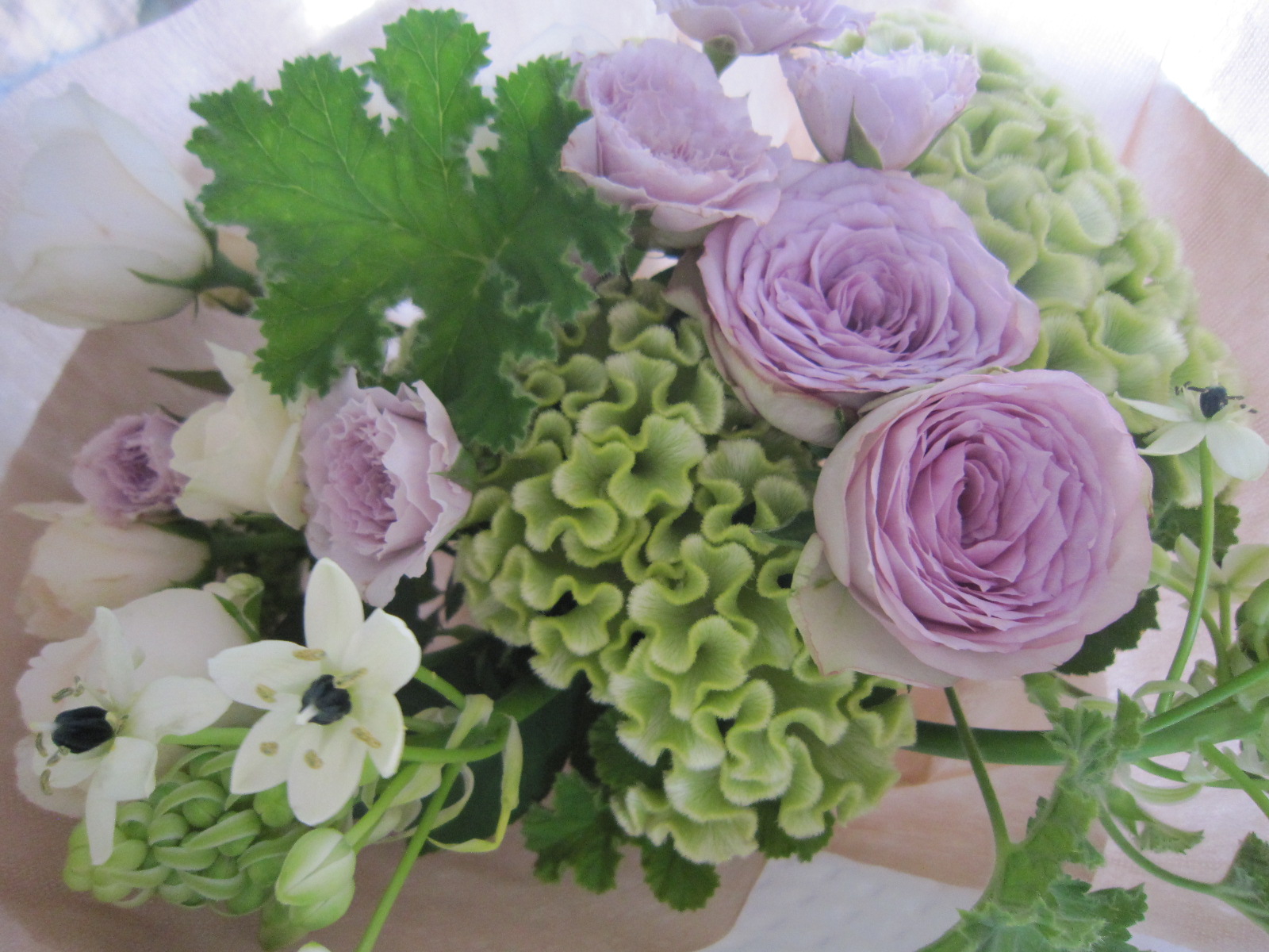 秋の花束 ケイトウをあわせて ブランシュのはなたち 秋の花束 ケイトウをあわせて ブランシュのはなたち