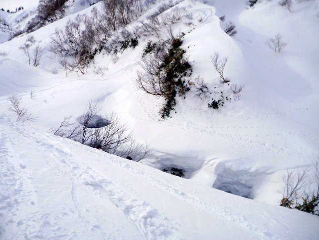 【滑走レポ　2016.3.16】暖冬小雪な3月のかぐらBCで新雪を踏む！＠かぐら_e0037849_17494359.jpg