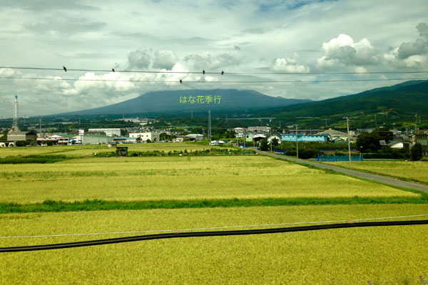 d0036450_21464868.jpg