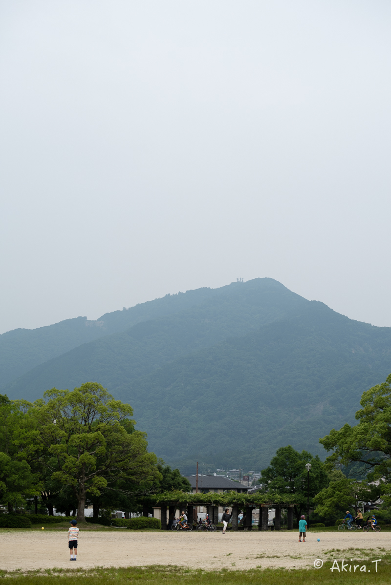 f0152550_21431430.jpg