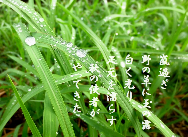 b0248954_10384134.jpg
