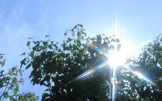 f0365954_12204859.jpg