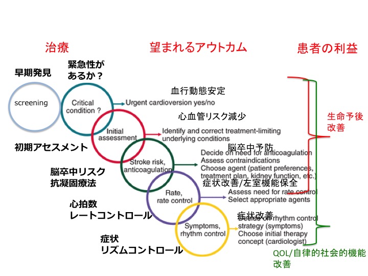 欧州心臓病学会の心房細動ガイドライン速報その6:心房細動管理の統合的マネージメント_a0119856_22582587.jpg