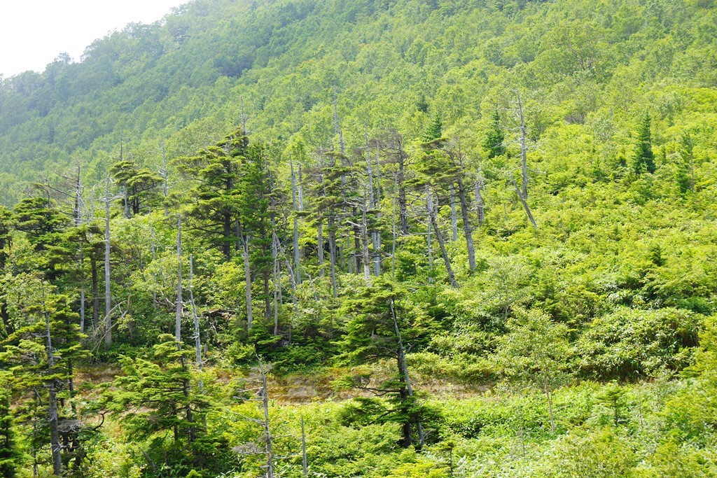 aerial tramway（群馬県草津町　白根火山ロープウェイ）_e0223456_10565065.jpg