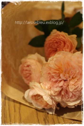 ル ベスベ La Rose 薔薇の庭