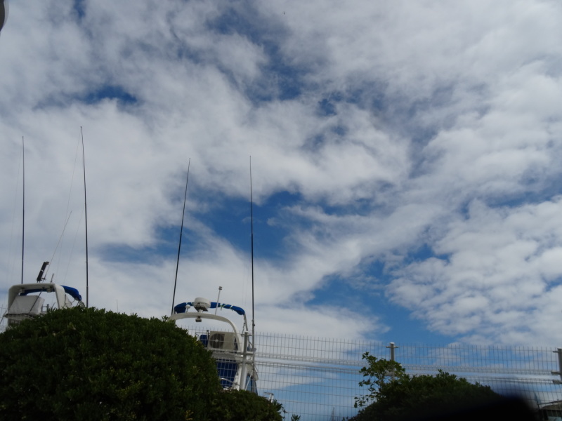 c0108460_18272339.jpg
