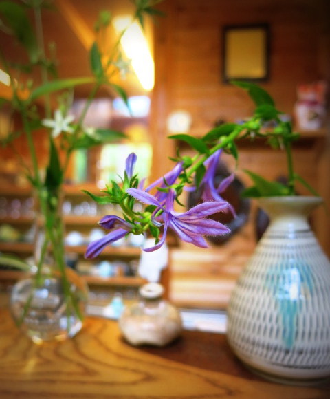 f0236260_02091798.jpg