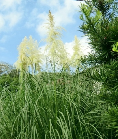 a0134568_12011430.jpg