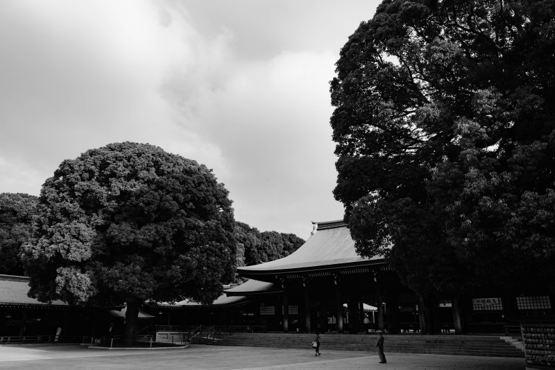 b0368075_07584277.jpg