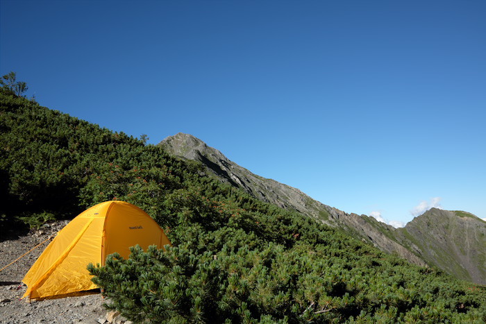 b0339488_20144154.jpg