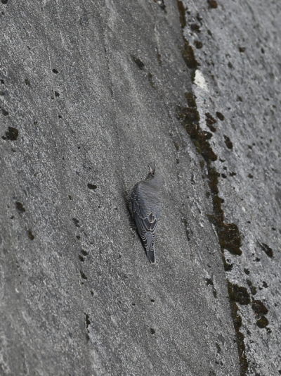 a0183690_22354859.jpg