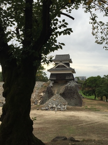 熊本遠征から戻りました_a0134394_14561561.jpeg