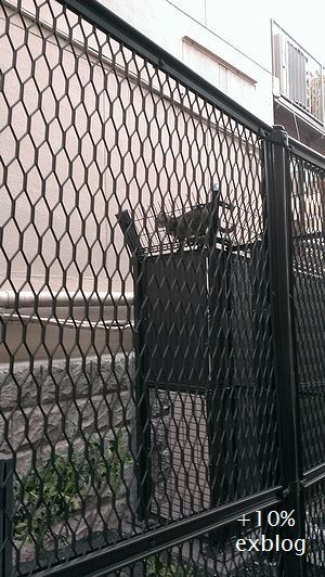 d0064000_21515149.jpg