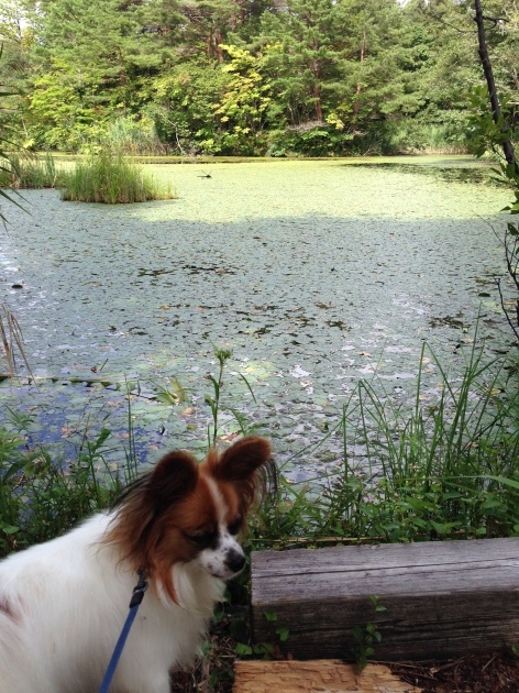 f0034602_23070728.jpeg