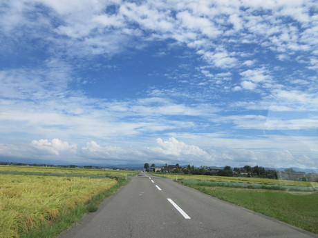 a0203003_16351660.jpg