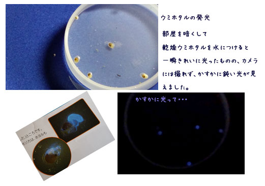 日々の事_c0051105_1181082.jpg