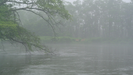 c0242406_17102914.jpg