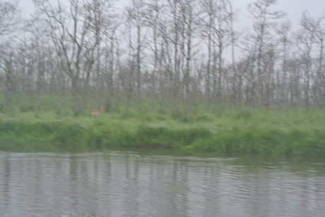 c0242406_1711358.jpg
