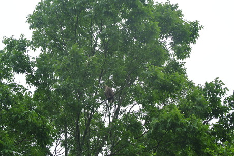 c0242406_17381544.jpg