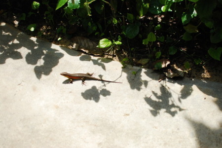 c0182810_00442348.jpg