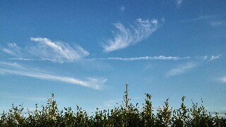 b0365712_1134487.jpg